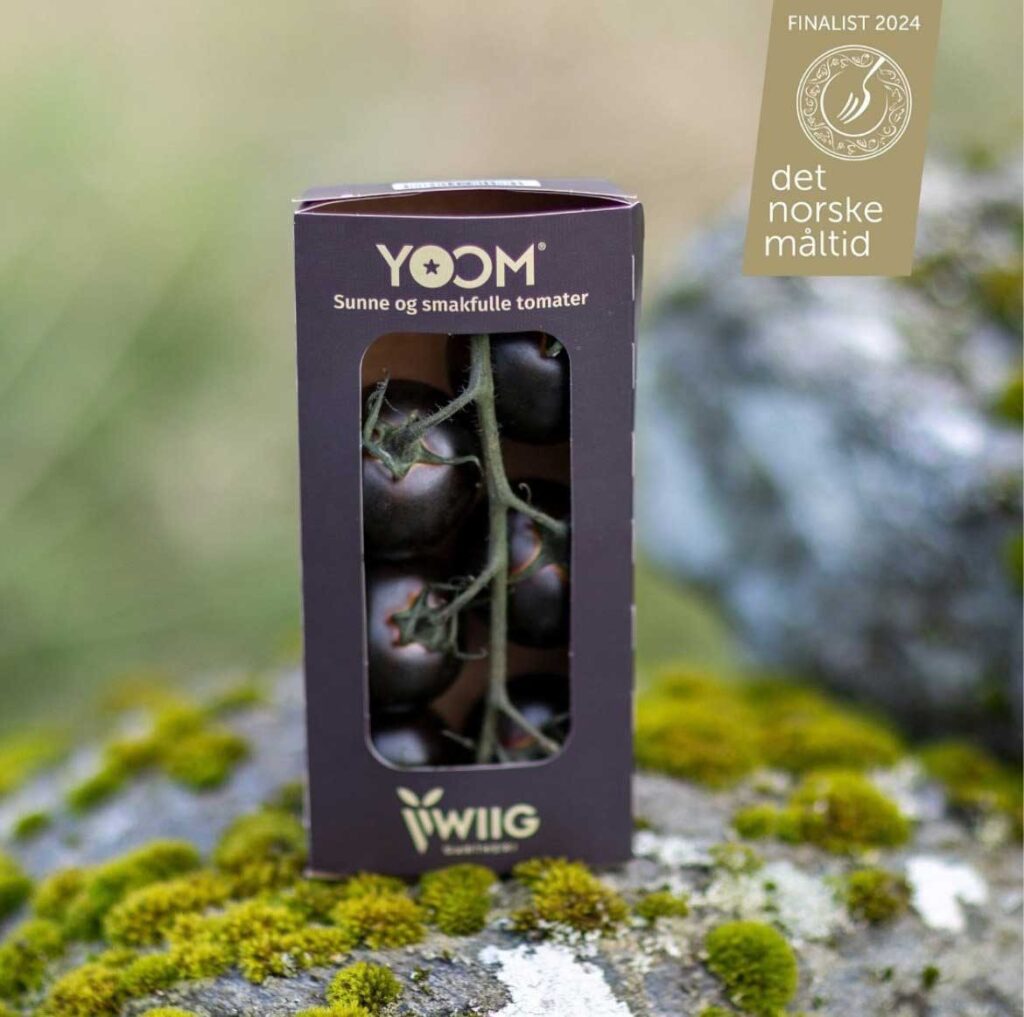 Yoom Tomater fra Wiig Gartneri