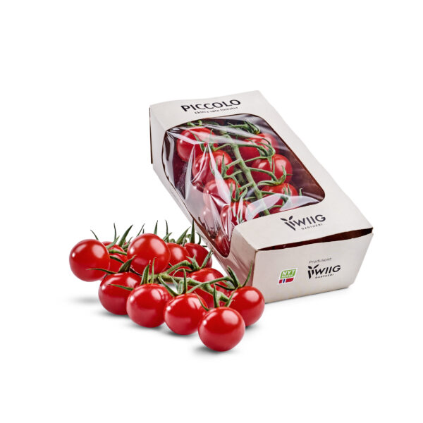 Piccolotomater (200 g)