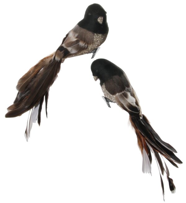 Feather bird silv glass glit brown tail