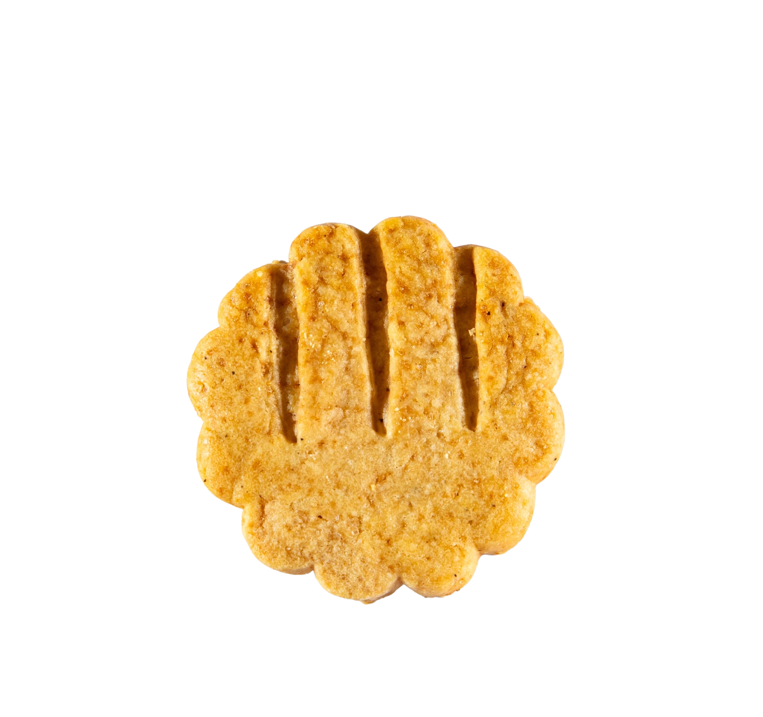 Comte- og sesamshortbread - Bilde 2