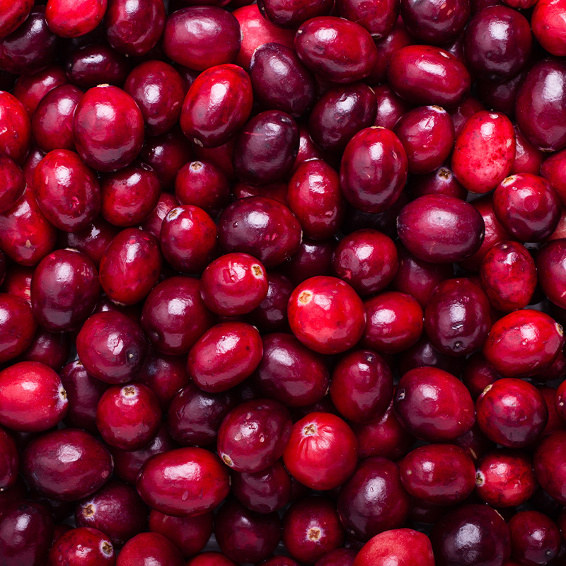 Balsamico med tranebær - Bilde 2