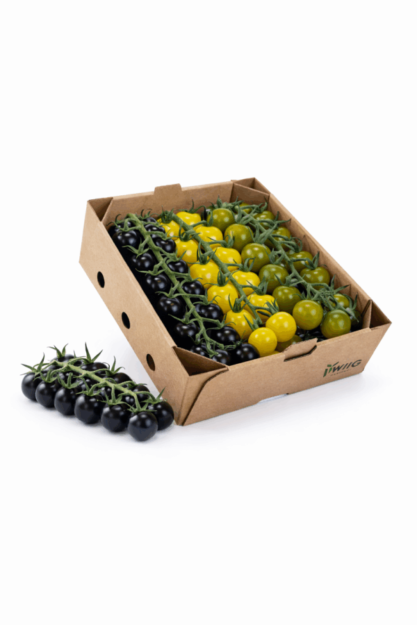 Mikstomater på klase 1 kg